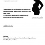 HIECMIHC Vulnerable Women HIECMIHC Vulnerable Women